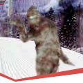 Sunday River Bigfoot