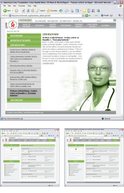 American Liver Foundation - Intranet Site