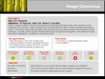 Office Environments - Brand Strategy