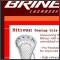 Brine Sports - Email Newsletter